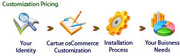 Diagram - Cartue customization process