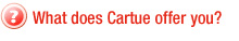 What does Cartue offer you